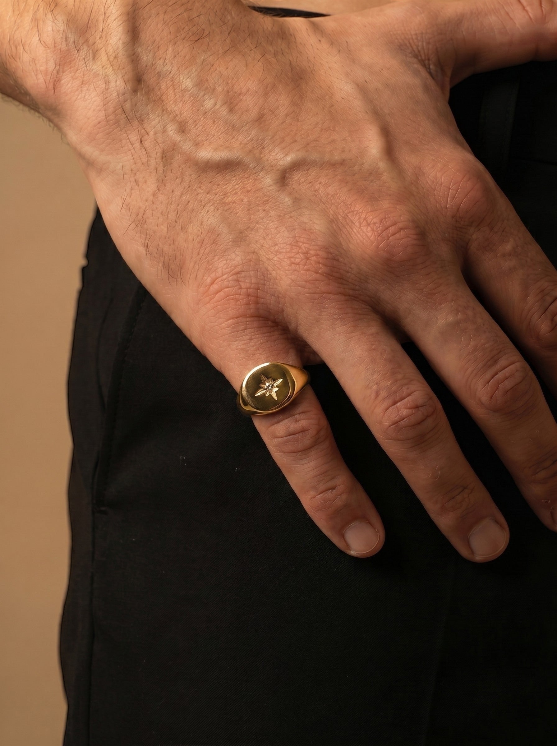 SIEGELRING MIT NORDSTERN GOLD